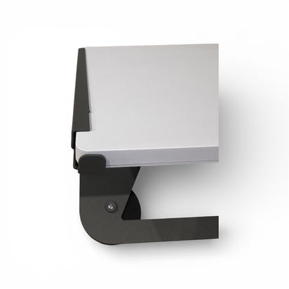 Adjustable tilt mini mount